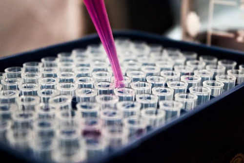 生物医药 高端制造,16个团队将携最新科技成果亮相新城
