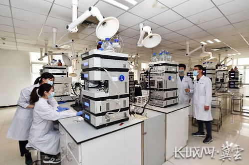 以岭药业前三季度研发费用5.52亿元 中医药成果转化再提速