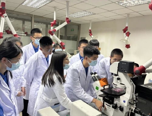 粤东学子探秘新药研发,生命科学夏令营惊喜连连