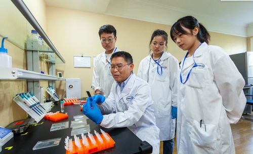 中晟全肽 向全球抗2019 ncov新药研发机构免费开放超大型多肽库