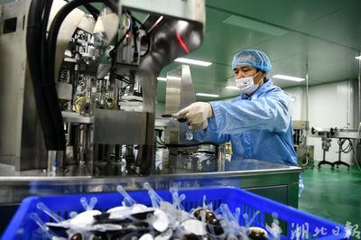通城中药材深加工与药品研发齐头并进，产业发展势头强劲